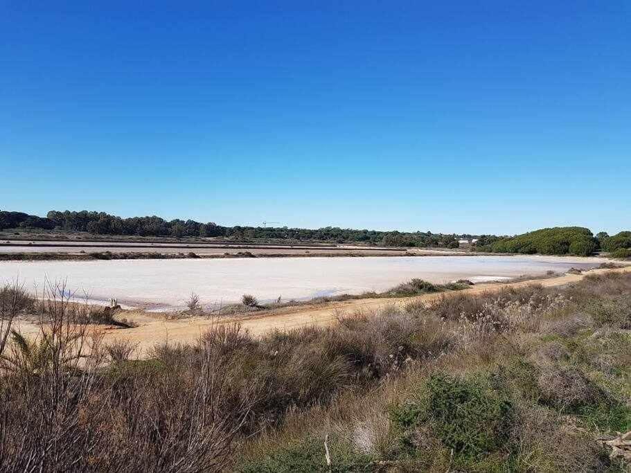 Ria Formosa Pineview Vila FAO Exterior foto