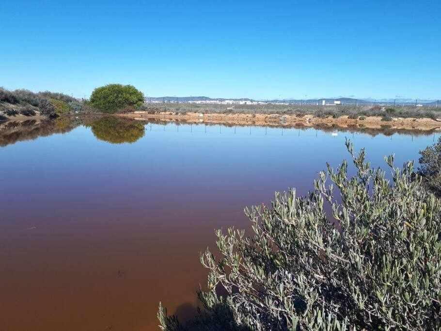 Ria Formosa Pineview Vila FAO Exterior foto